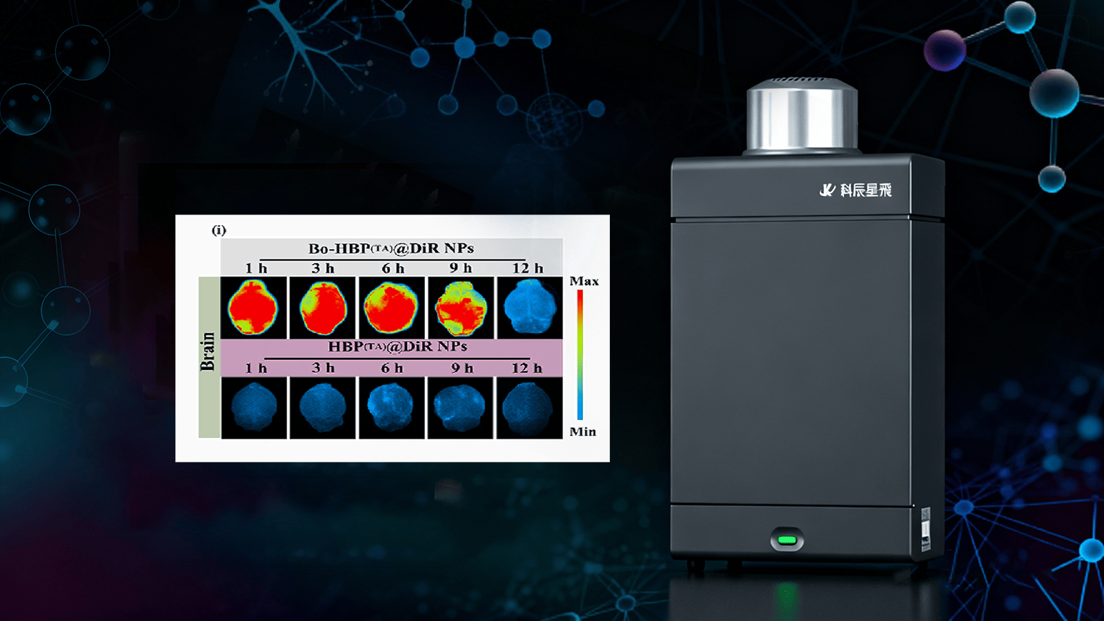 科辰星飞活体成像系统助力卒中疗法研究成果荣登《Biomaterials》